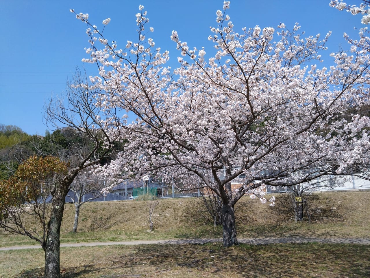 宮園公園