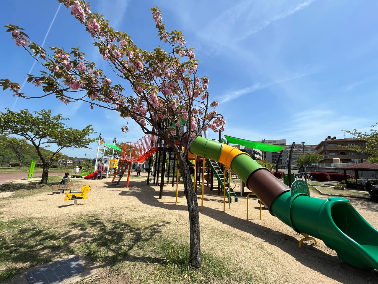 尾道西公園の桜あり外観