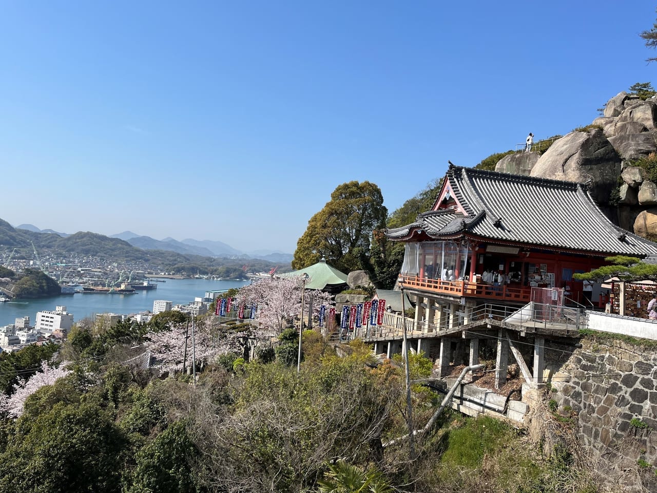 千光寺の桜