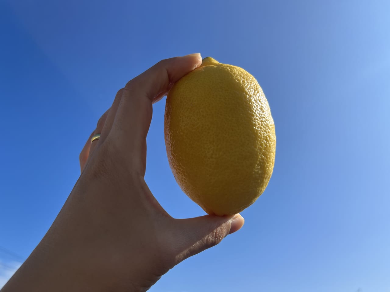 レモンと青空