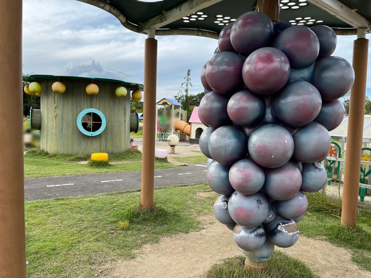 せら夢公園の大きいぶどう