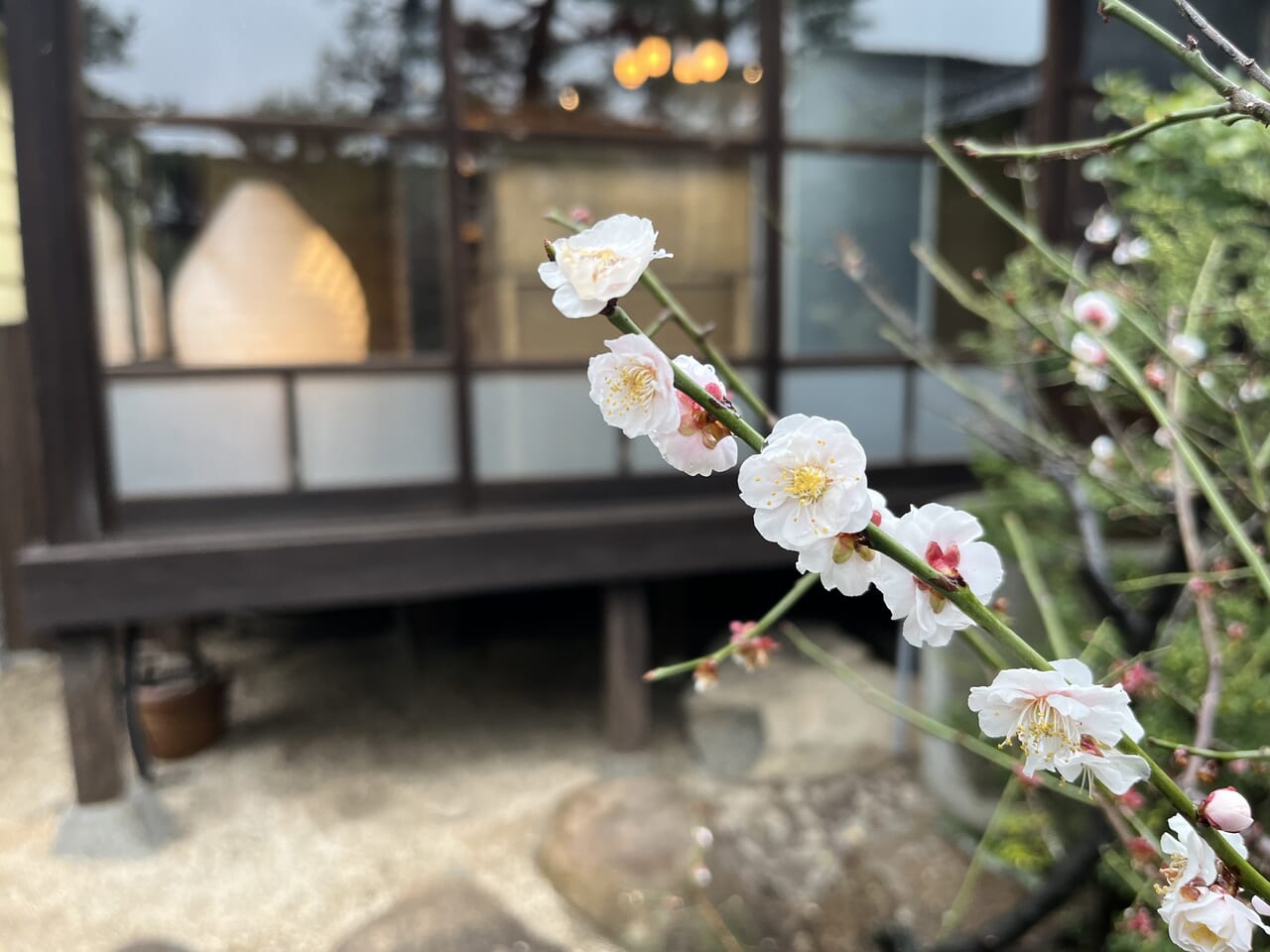 Ryokan尾道西山の梅