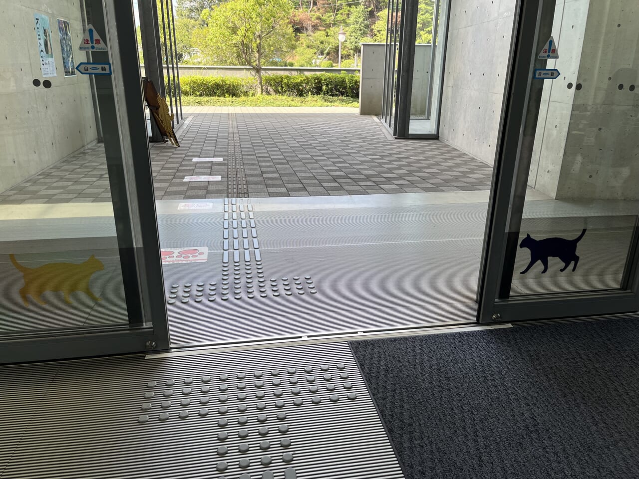尾道市立美術館の自動ドアの猫
