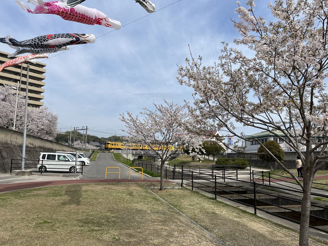 桜と電車と鯉のぼり東尾道
