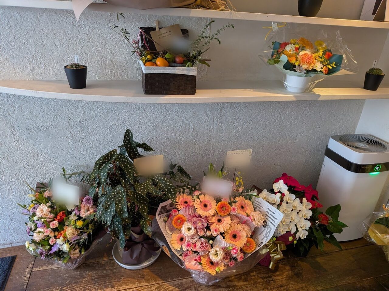 2025三原市港町カフェもみの木